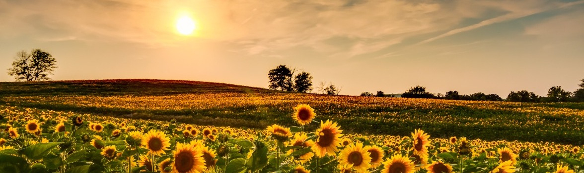 2021 Is The Year Of Agriculture Development Unit