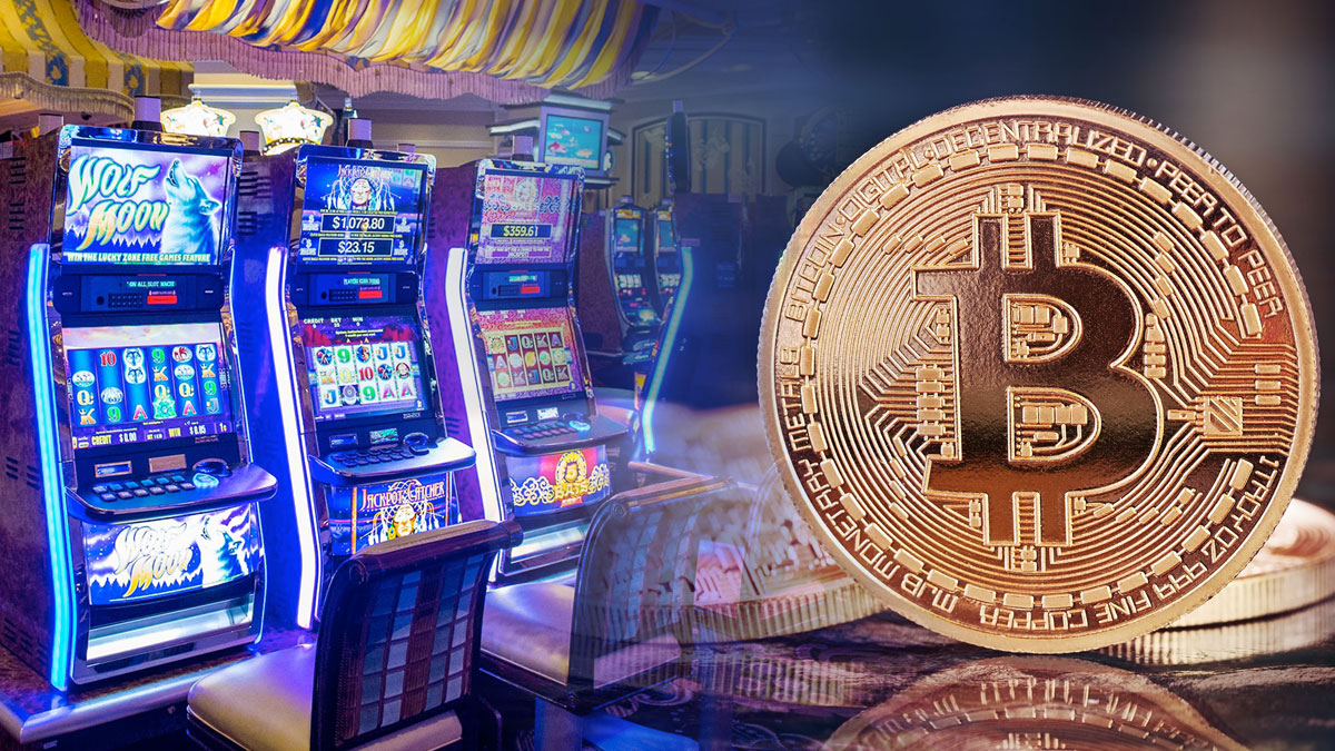 3 Ways Create Better best bitcoin casino online With The Help Of Your Dog