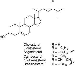 10 erreurs horribles à éviter lorsque vous faites avis super-steroide