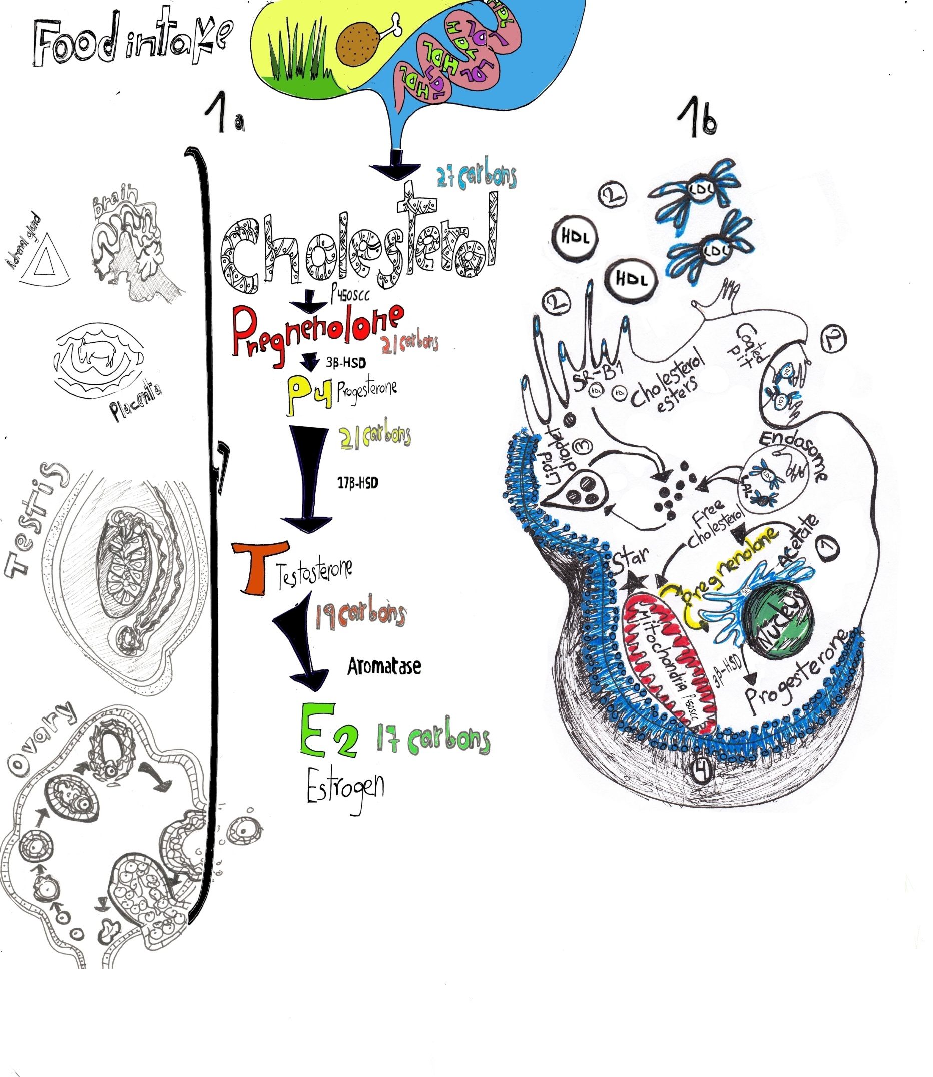 Warum Германия erfolgreich ist