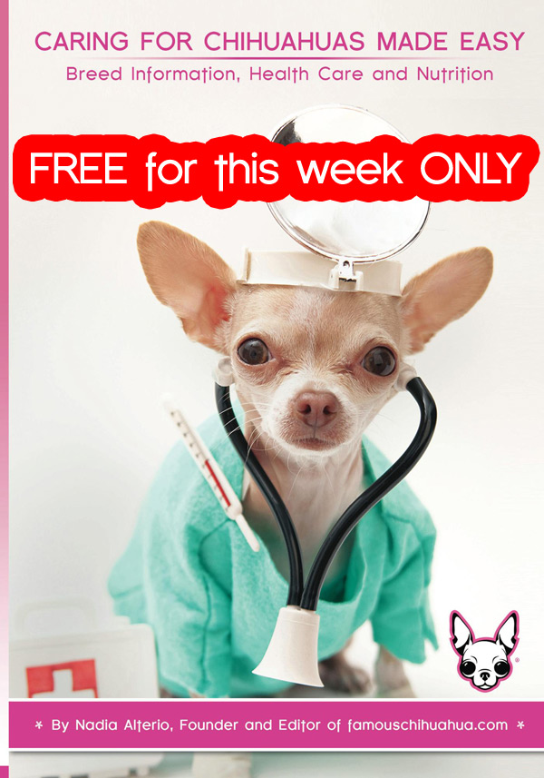 sports For Business: The Rules Are Made To Be Broken