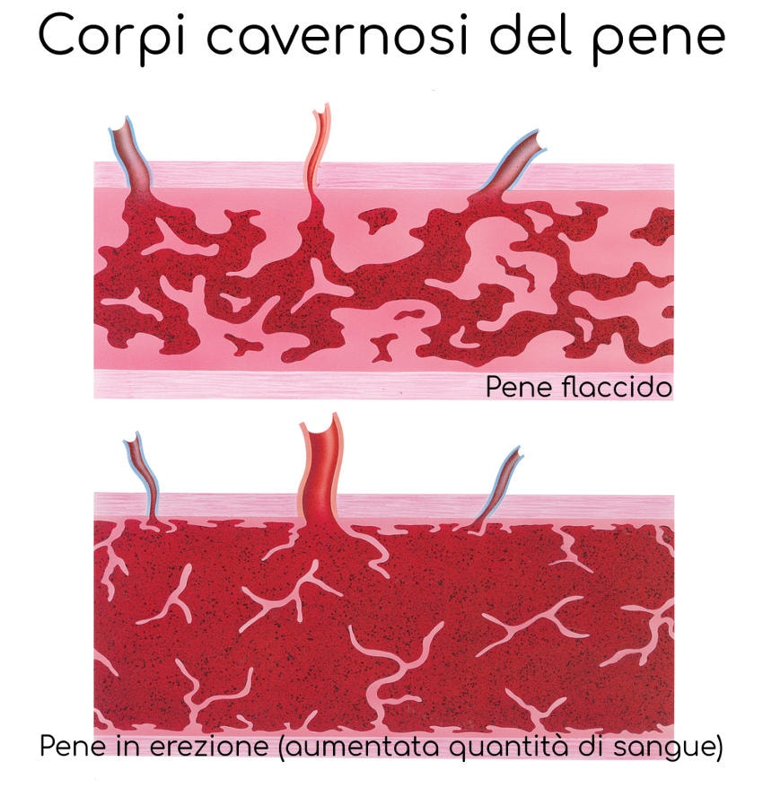 3 motivi per cui Facebook è l'opzione peggiore per generico online