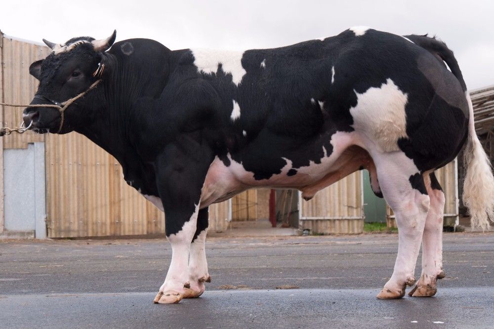 Must Have Resources For epitalon agag 10 mg