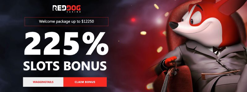 10 Creative Ways You Can Improve Your yellowbeanllc